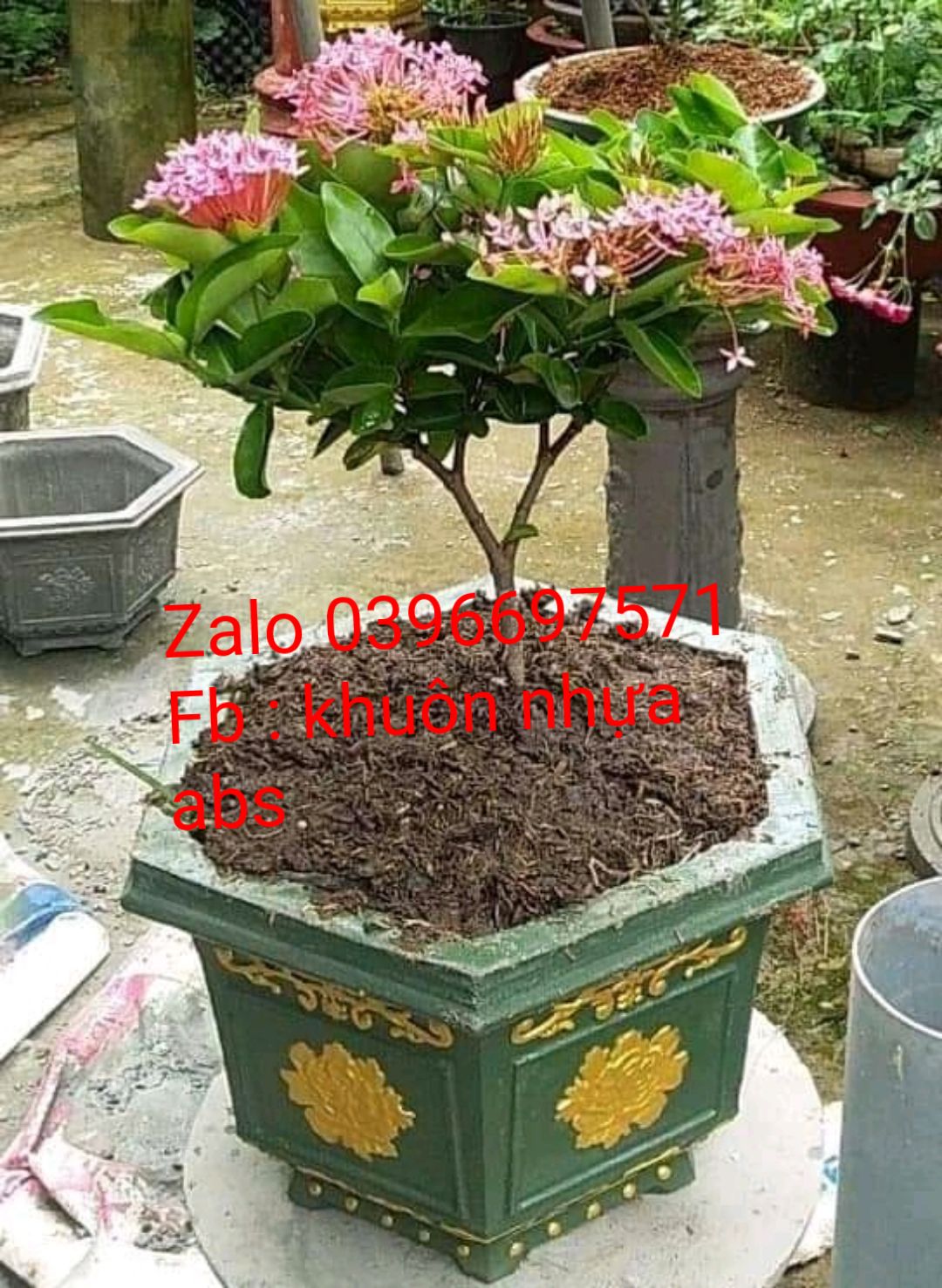 khuôn đúc chậu lục giác 30cm