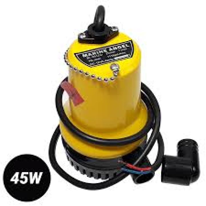Máy bơm chìm 12V ( bơm thả)