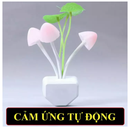 [HCM]đèn ngủ cảm ứng hình nấm