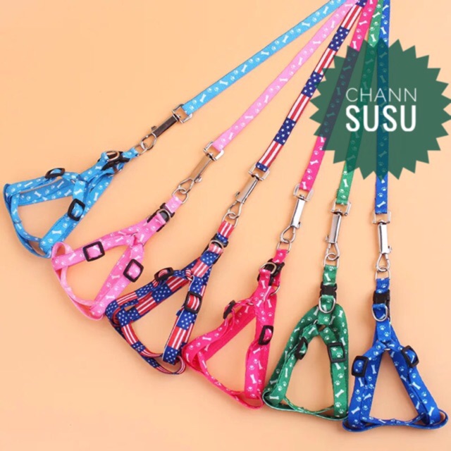 DÂY DẮT VÒNG CỔ - Dây dắt chó mèo dây lưng - Channsusu Pet Shop
