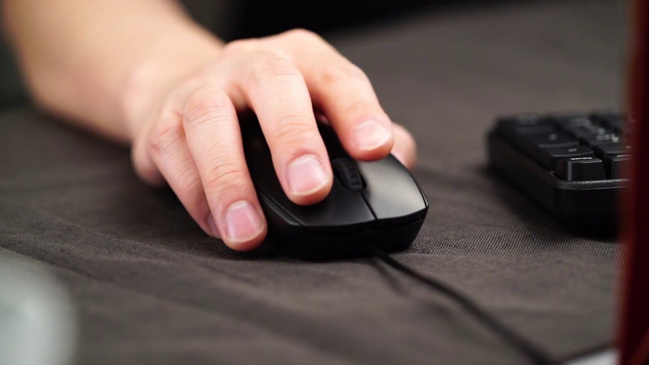 Chuột có dây RAPOO N100 - Hãng phân phối chính thức