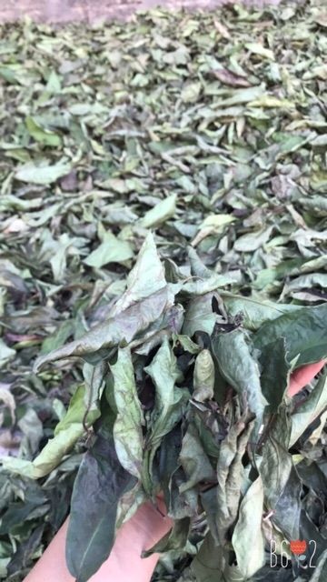 Cây Xạ Đen Khô 1Kg
