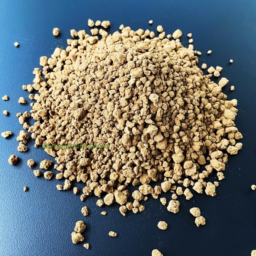 Đất nung Akadama, đất Akadama trồng sen đá cỡ S