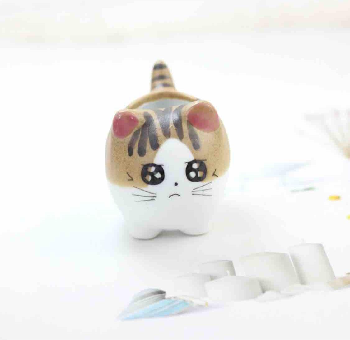 Set 5 chậu mèo trồng cây trang trí
