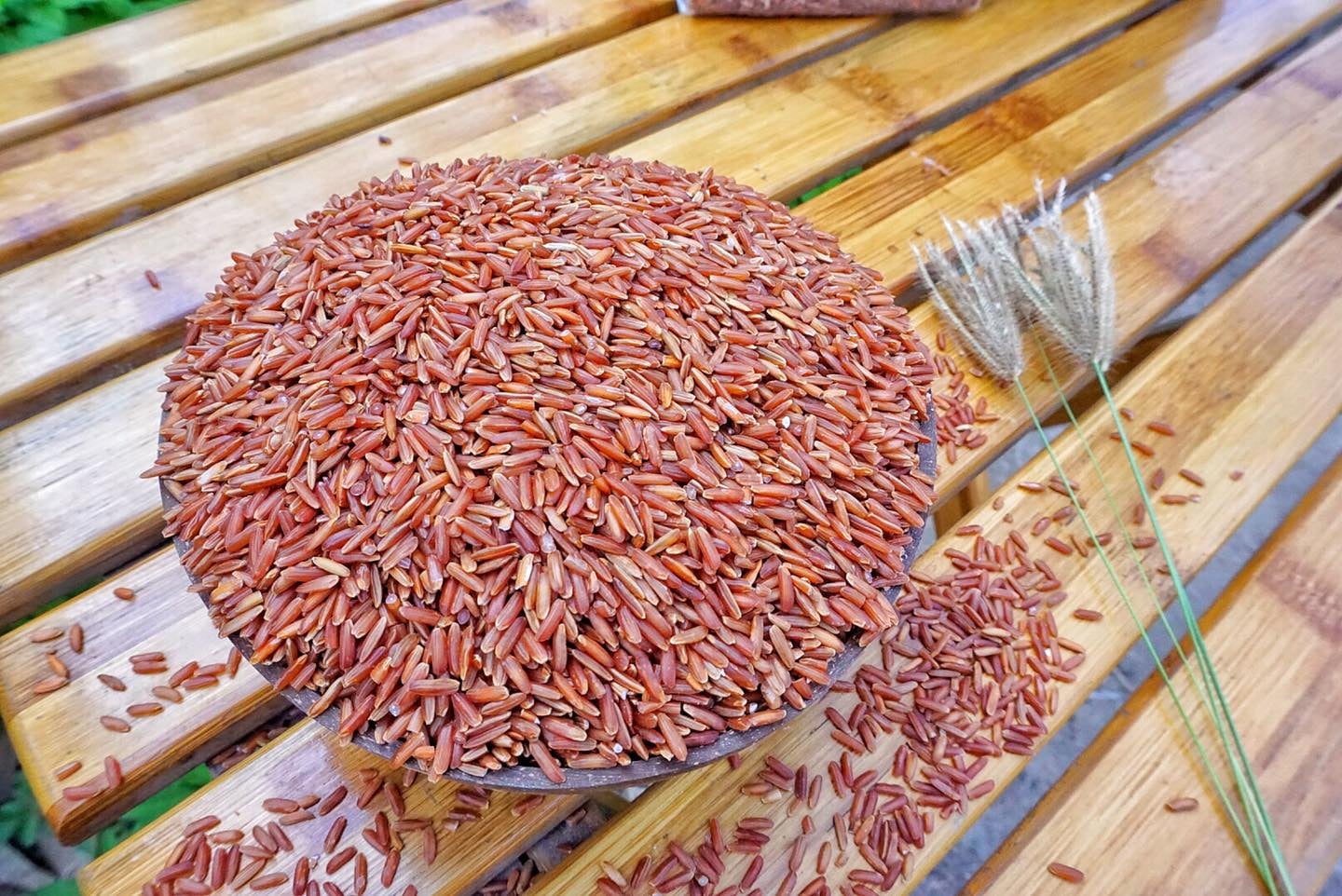 Gạo Lứt Huyết Rồng Hữu Cơ