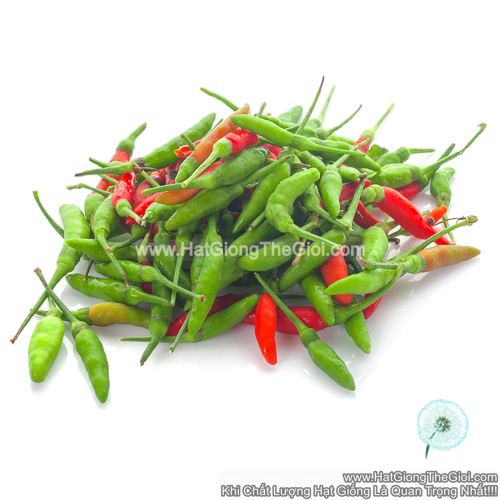 0.1Gr Hạt Giống Ớt Xiêm Thái Lan (A2.104| B52*W42*M168)