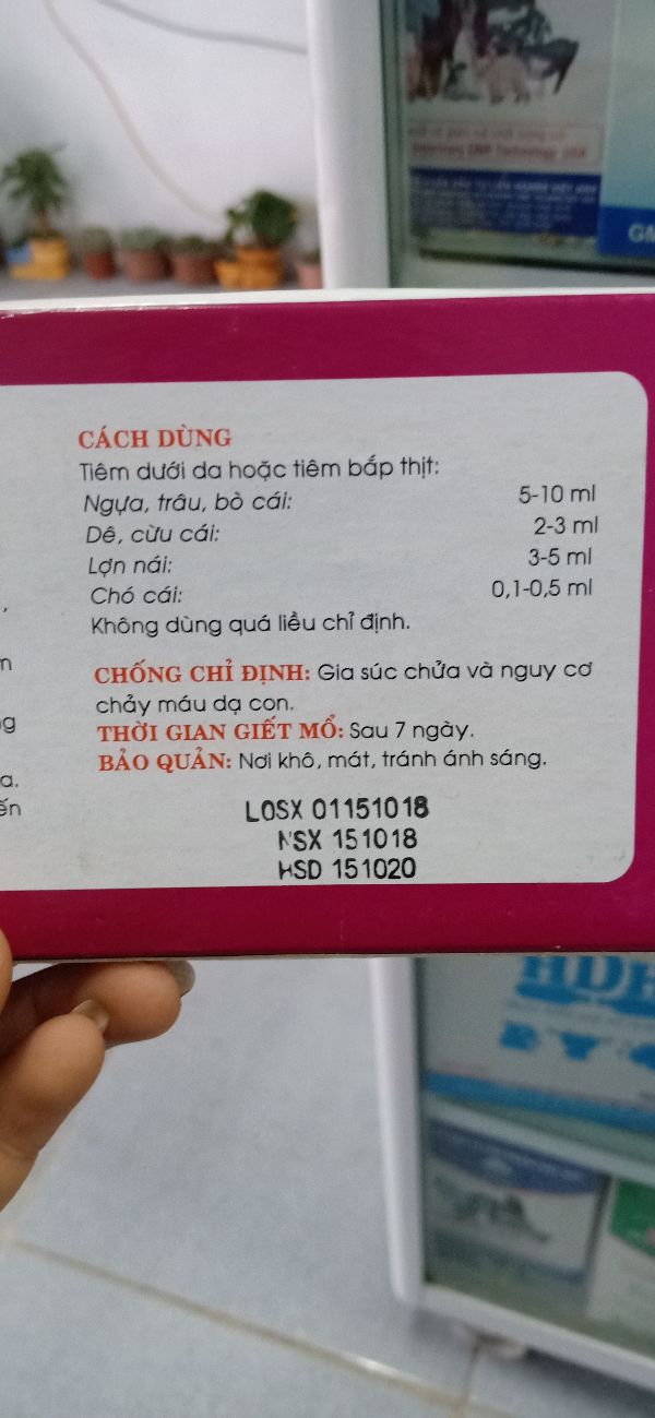 Th uốc Kích Thích Chó Mèo Đi Giống Oestradiol 5Ml - 196