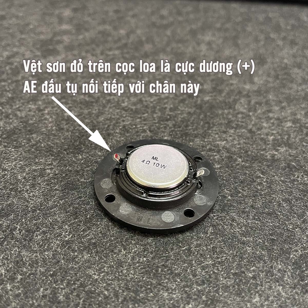 Loa treble Harman tròn màng Lụa 10W 4R từ NEO