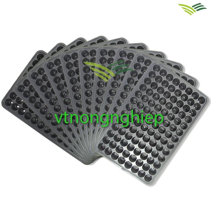10 khay nhựa ươm cây 104 lỗ