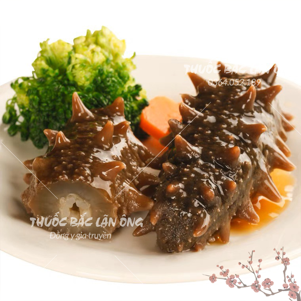 Hải sâm đen khô cao cấp 100g ( Dinh dưỡng, bổ thận, nhuận tràng )