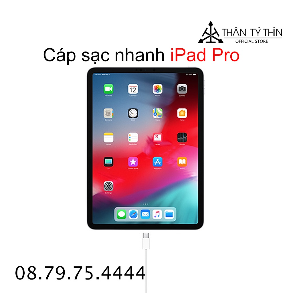 [Free Ship] Dây sạc dành cho iPad Type C 2 Đầu - Cáp sạc nhanh iPad Pro, Ip