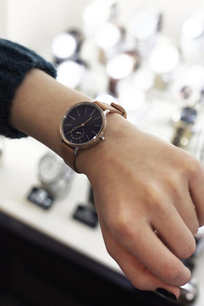 Đồng hồ nữ Skagen Quartz SKW2354