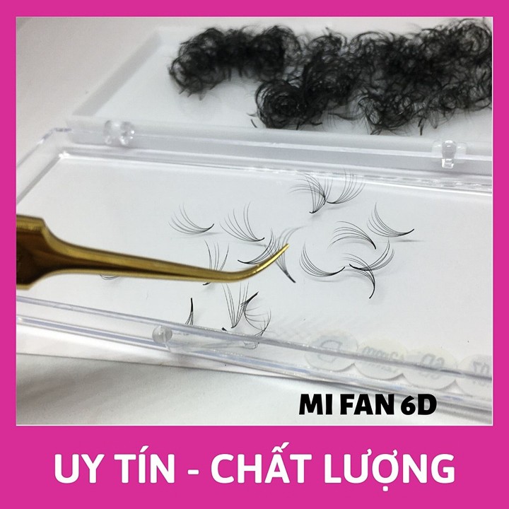 Lông Mi Fan Tay Sẵn 6D - Hani Beauty