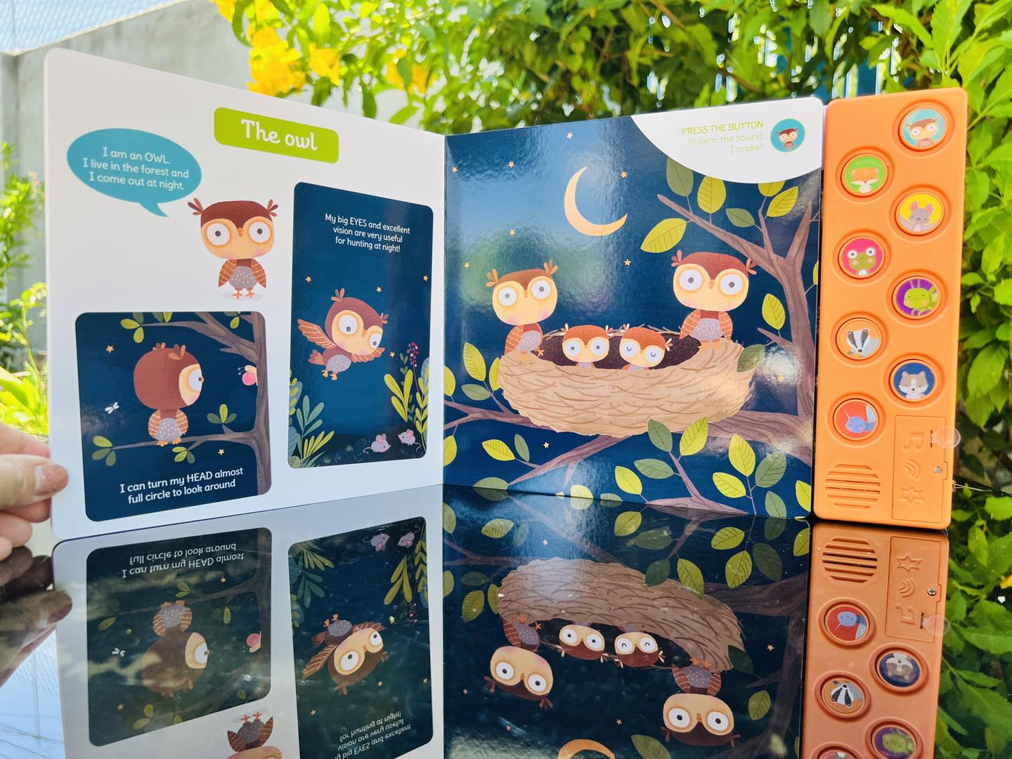 MY FIRST SOUND BOOK: NIGHT ANIMALS