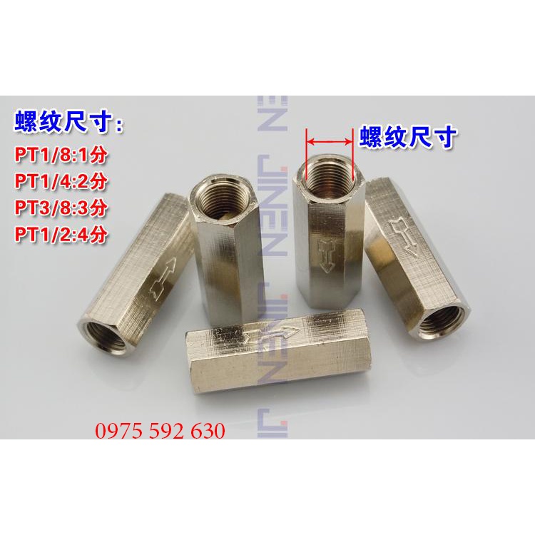 Van 1 chiều inox khí nén van nước 1 chiều ren 10 13 17 21 mm