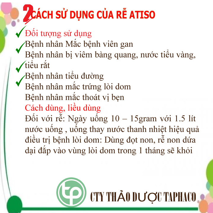 Rễ atiso sấy khô 500g - Thảo Dược Tấn Phát - Chuyên dùng để pha trà giúp thanh nhiệt và giải độc