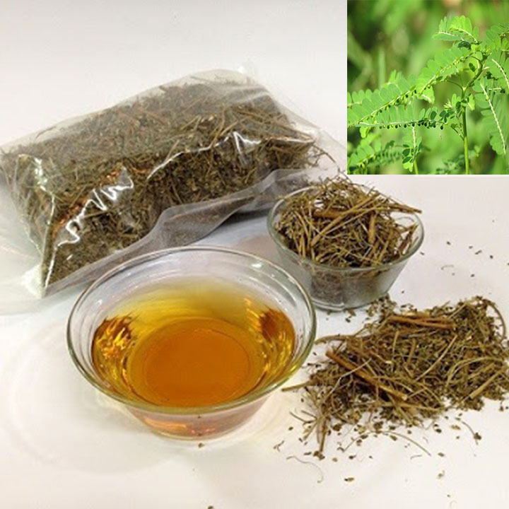 Diệp hạ châu ( Cây chó đẻ răng cưa) 1kg
