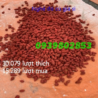 Nghệ đỏ củ cho gà đá 1 ký