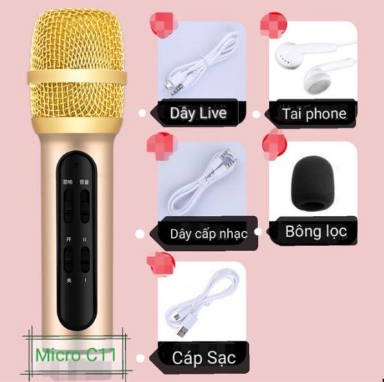 Micro C11 Hát Live Stream Chuyên Nghiệp