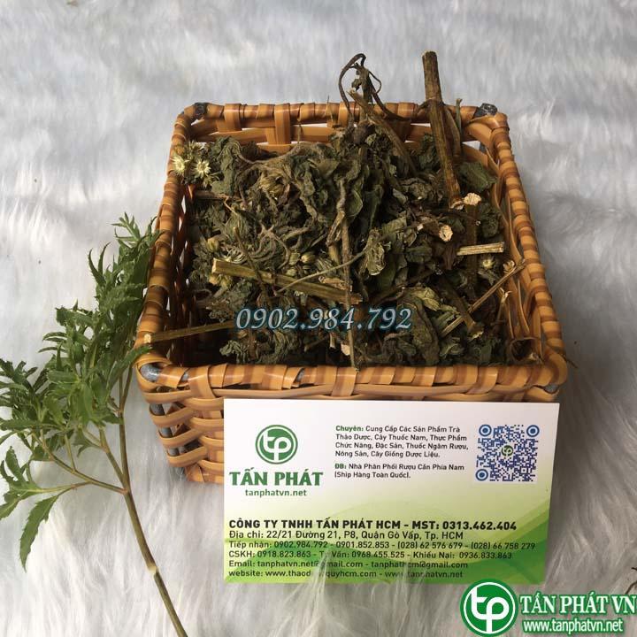 Cây cứt lợn 1kg khô - Hàng công ty chất lượng cao - Chuyên dùng để pha trà thanh nhiệt và giải độc - Thảo Dược Tấn Phát