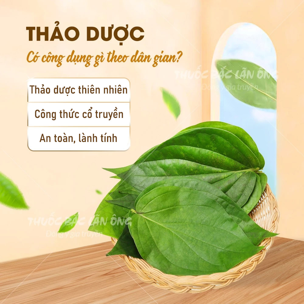 Betel Leaf Powder 100g, Pure, Steamed Betel Leaf Powder, Deodorizes, Reduces Itching and Fungus - Lan Ong