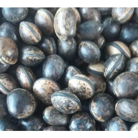 10 hạt đậu lào loại 01 981sp 683sp