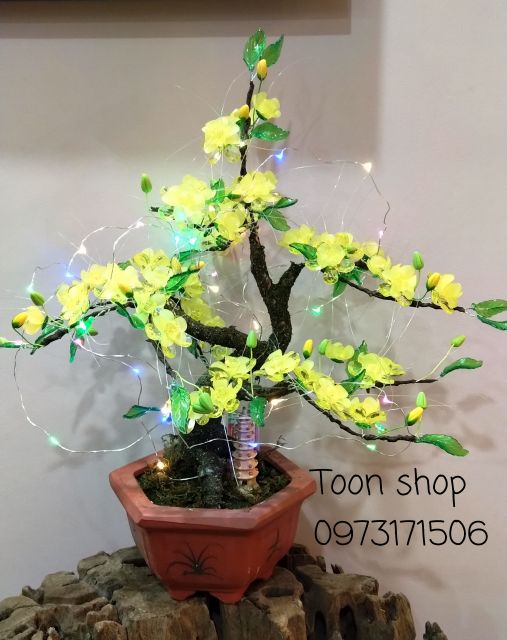 Nguyên liệu chậu mai pha lê cỡ nhỏ
