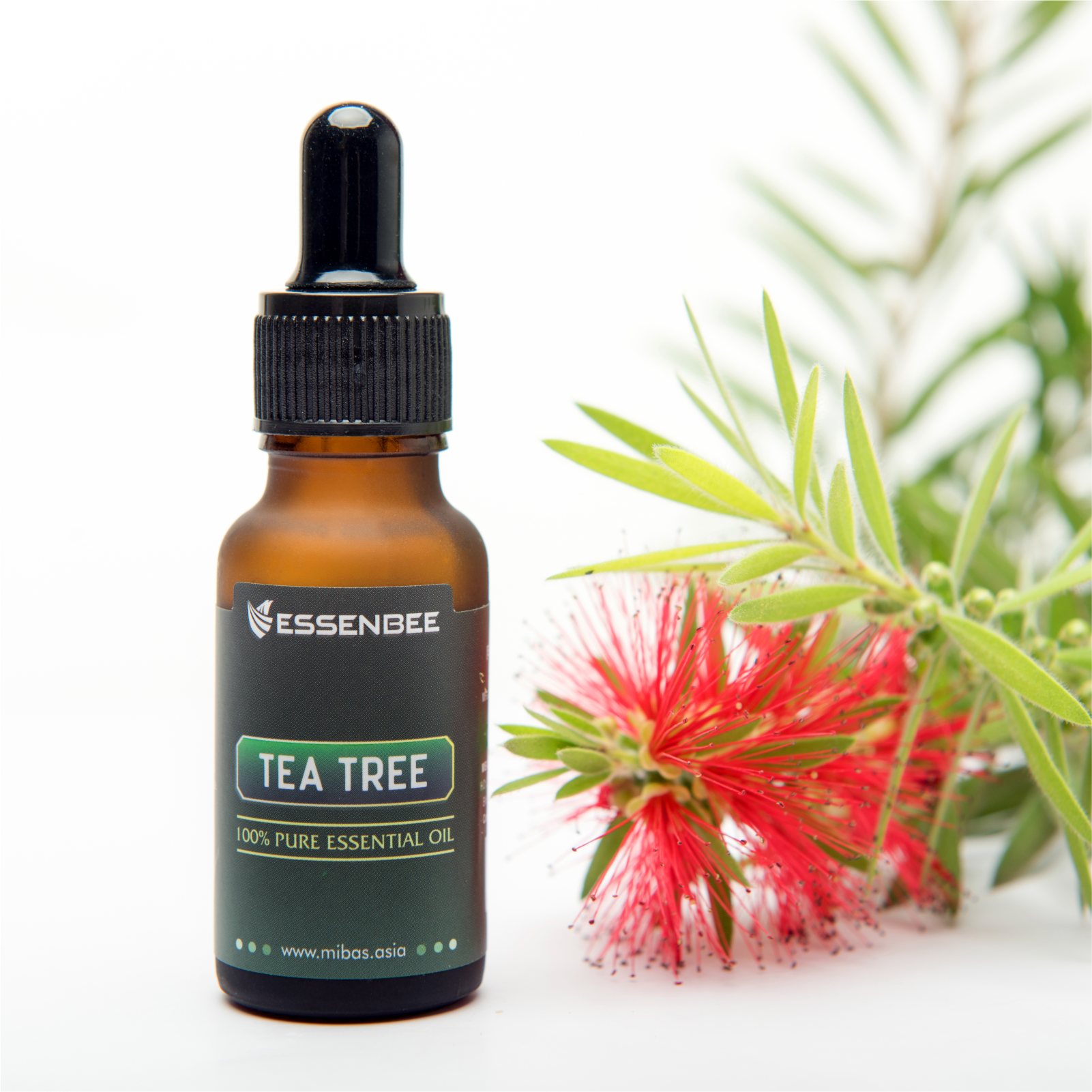Tinh dầu Tràm Trà (Tea Tree) Essenbee - 10ml