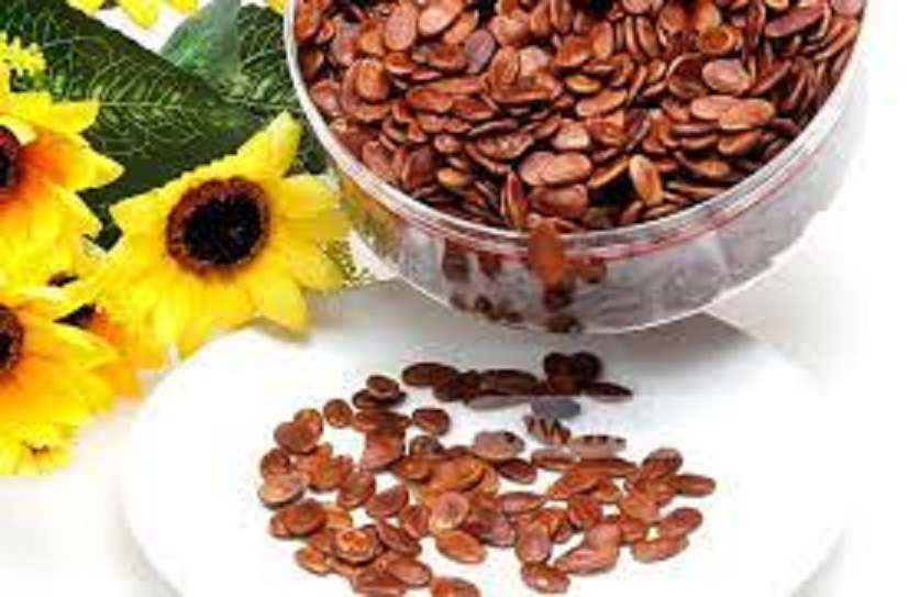 500g Phuoc Thanh Melon Seeds