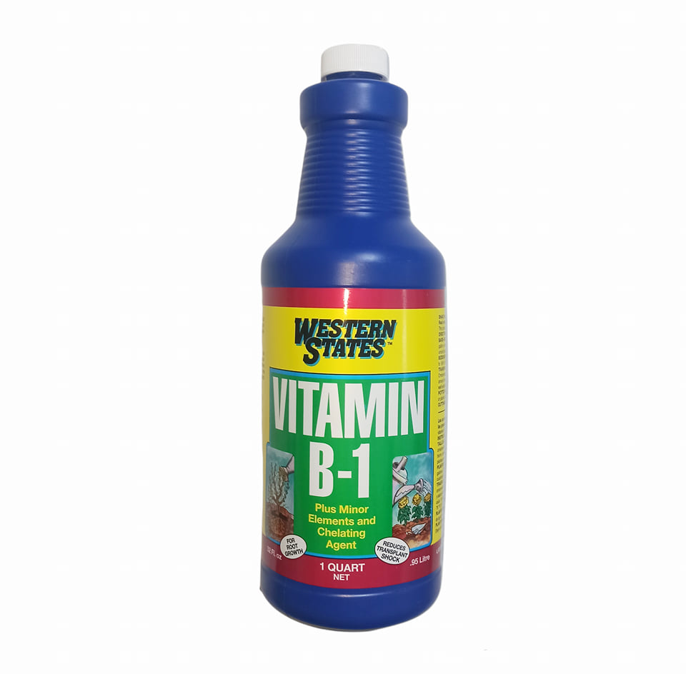 Phân bón lá Vitamin B1 Western States nhập khẩu Mỹ, kích rễ, lưu dẫn phân bón