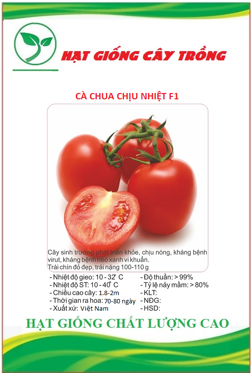 Hạt Giống hoa cúc thạch thảo mix màu/Gói 50 hạt
