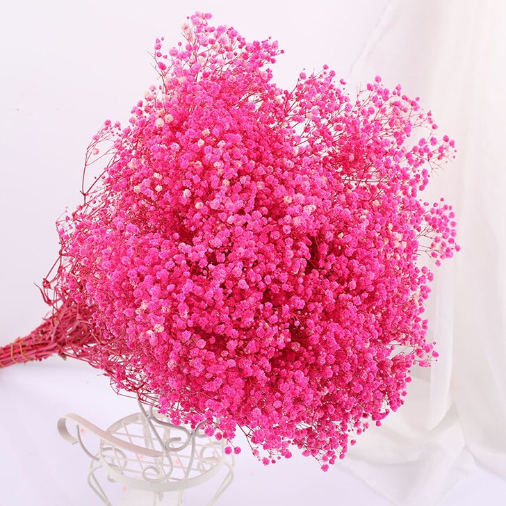 Hoa baby khô, Gypsophila hoa khô decor trang trí phòng ngủ, làm đồ handmade