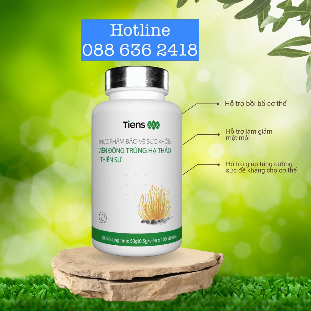 Viên đông trùng hạ thảo Thiên Sư