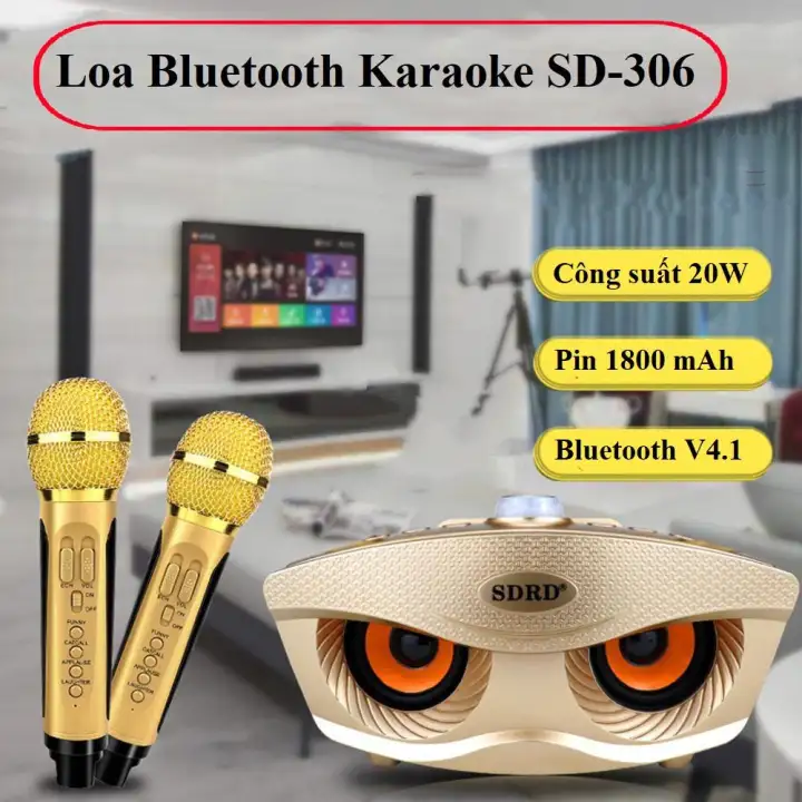 Mic Đôi Hát Karaoke, Loa Bluetooth karaoke kèm 2 mic SDRD-306- Độc ...