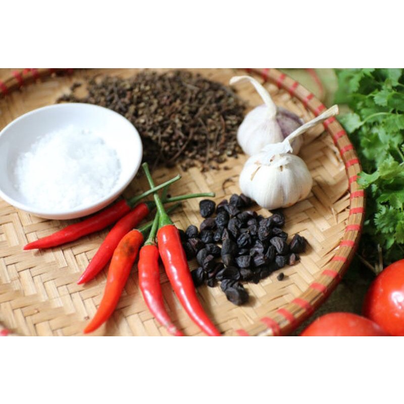 Hạt dổi rừng tây bắc