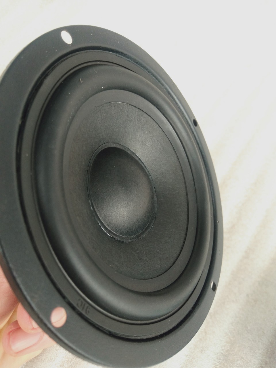 2 CỦ LOA MID 10 TỪ 70mm
