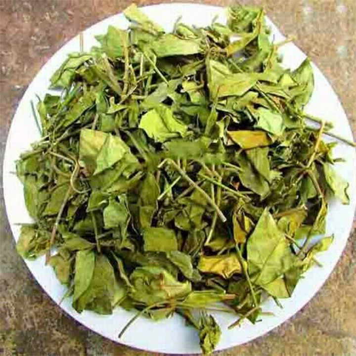 Dây thìa canh khô - 1kg