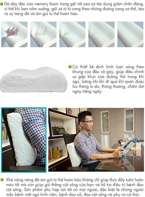 [HCM]Gối cong Lock&Lock HLW111 - Memory Foam 50D