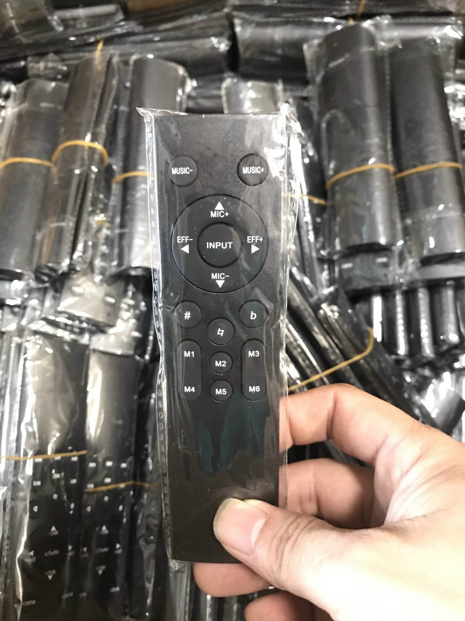 [HCM]Điều khiển vang số X3 X5 X6 X7 X8X9 X10 X12 BF 306 hàng trung ương