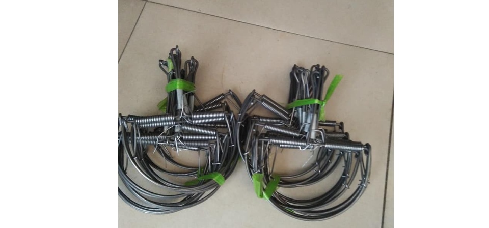 Combo 10 Bẩy chuột , sóc bán nguyệt 13 cm