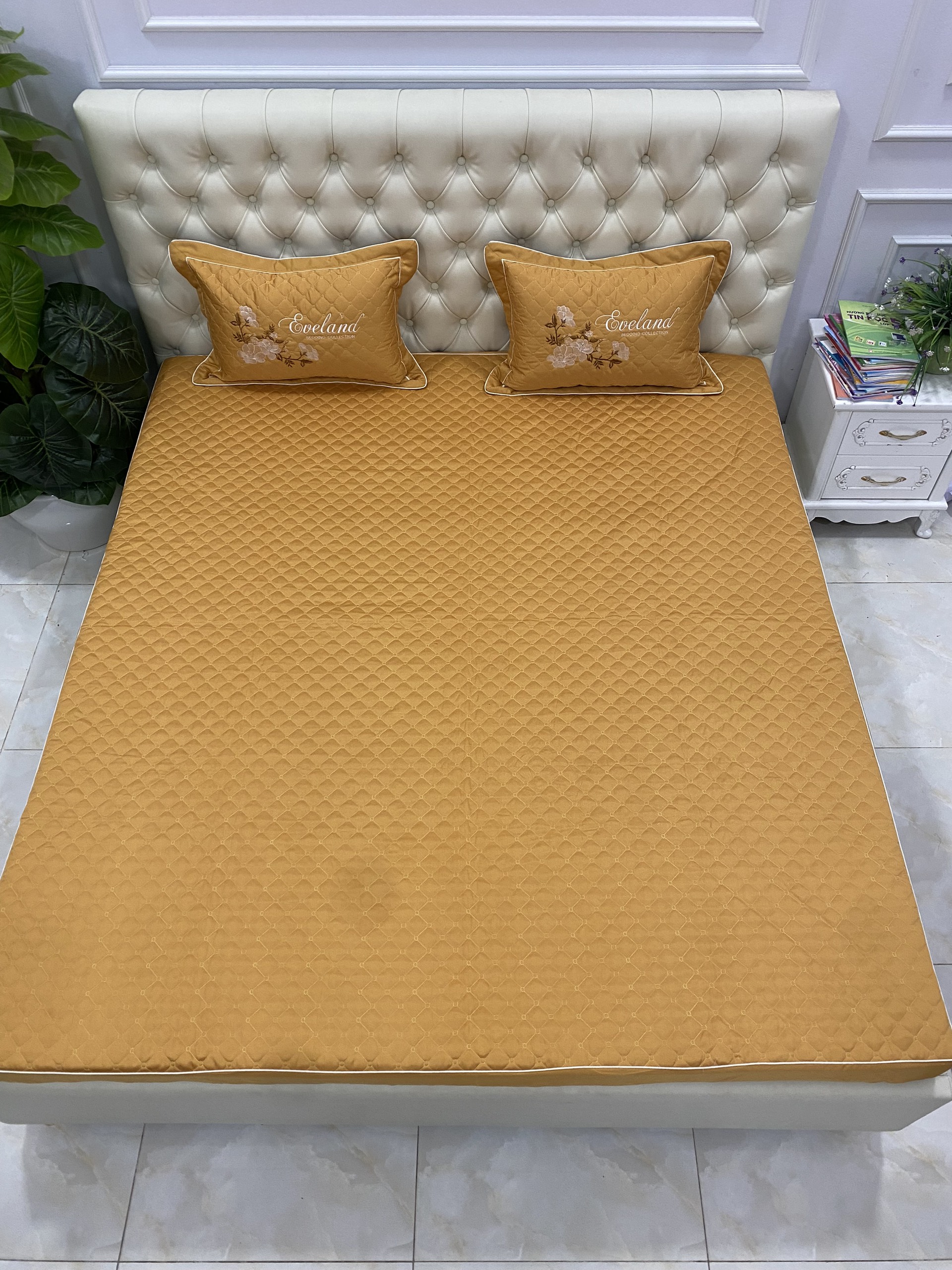 Bộ chăn ga gối chun trần bông 7 món