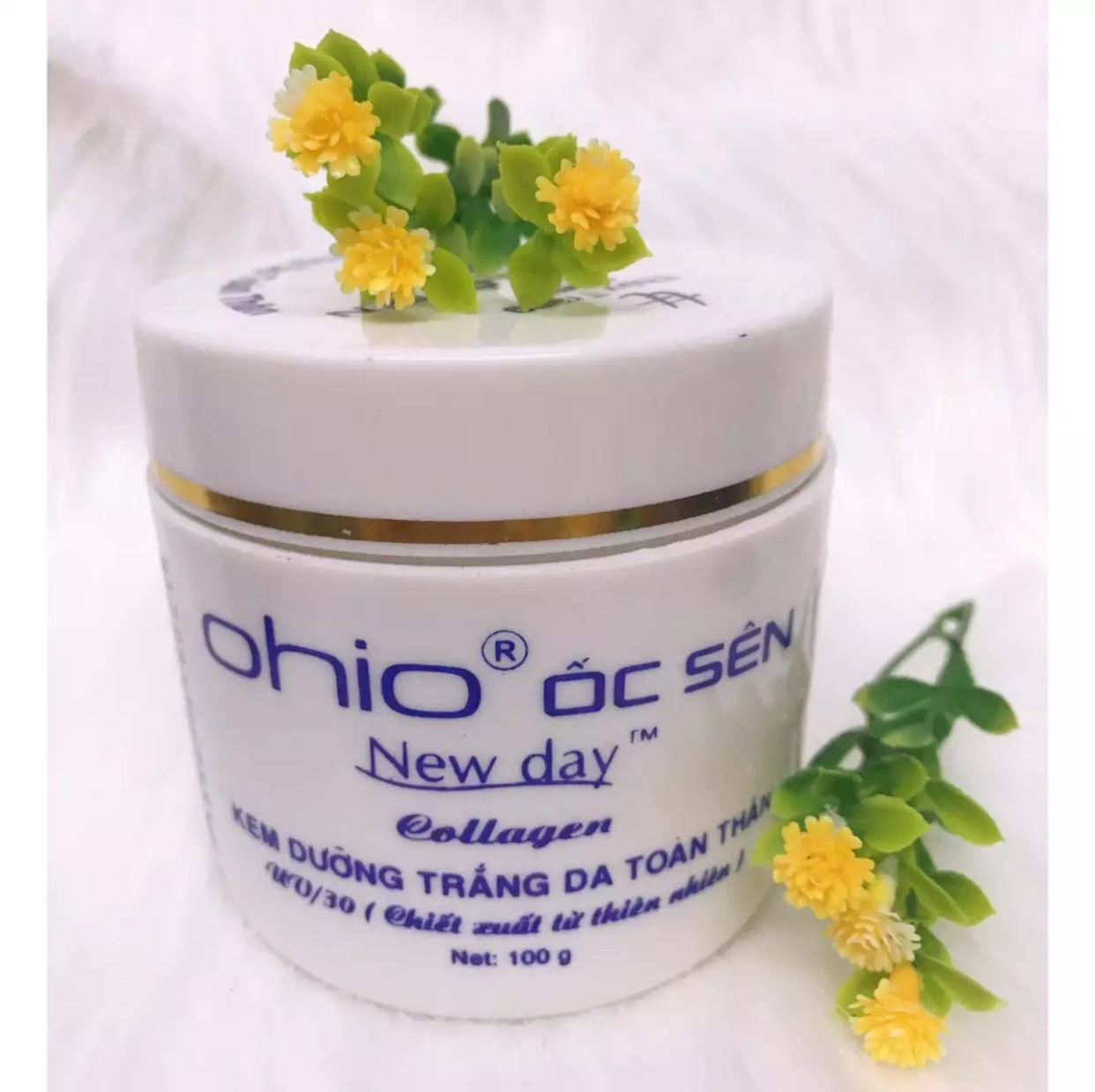 Kem dưỡng trắng da toàn thân OHIO ốc sên New Day ( 100g )