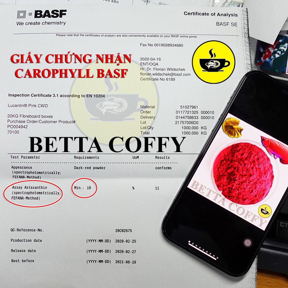 Carophyll Chất tạo màu Đỏ Vàng cho cá cảnh - BETTA COFFY