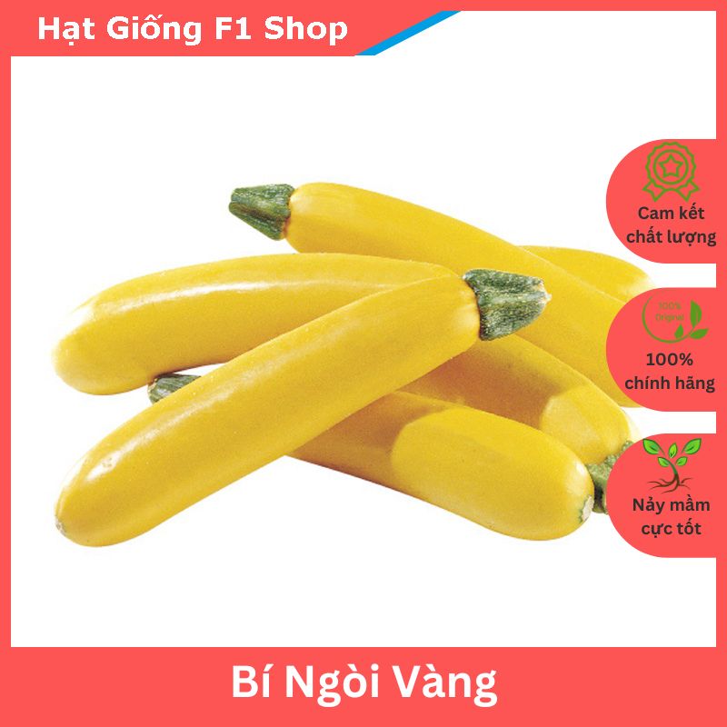 Hạt Giống Bí Ngòi Vàng Ngon Ngọt