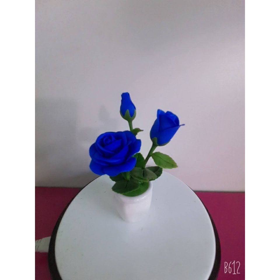 Hồng mini dể thương