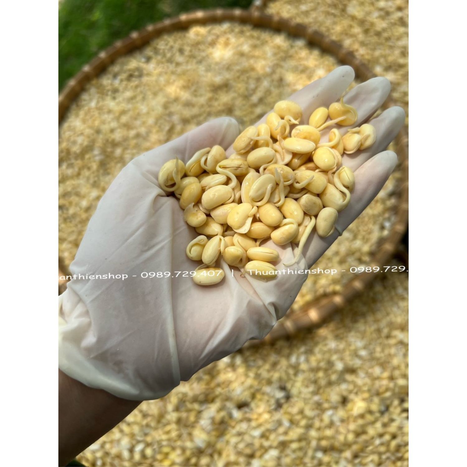 Bột Mầm Đậu Nành 0.5kg