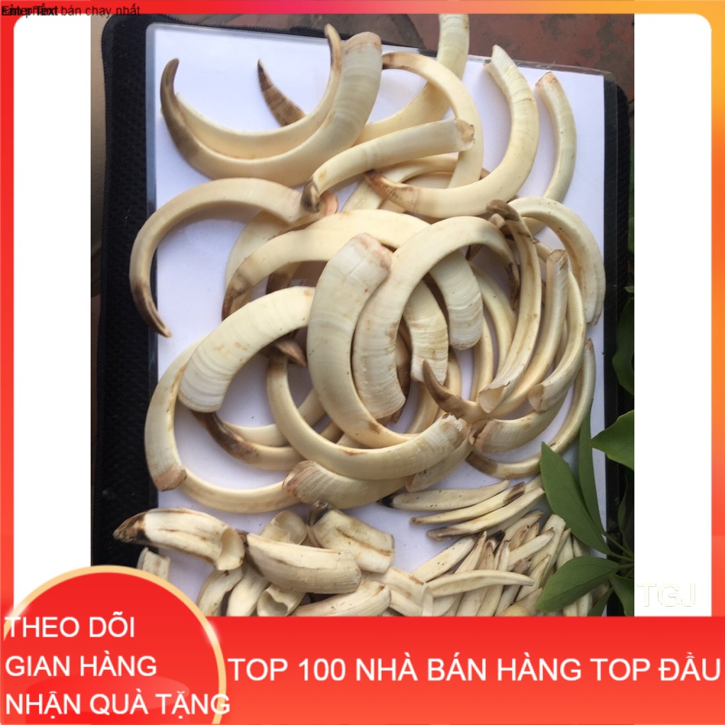 Nanh xương mỹ nghệ đẹp _ hàng thật 100% _ nanh heo rừng