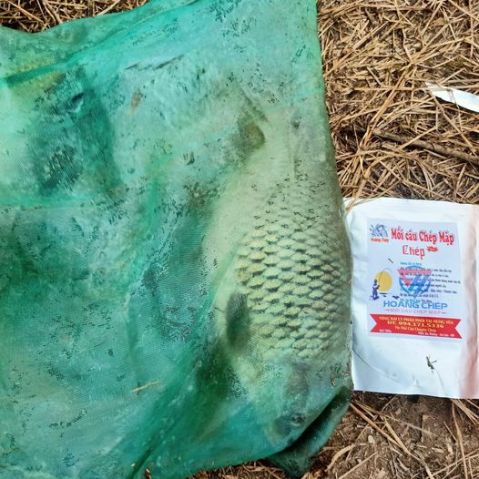 Mồi chép New - mồi câu Chép Mập (500gram)