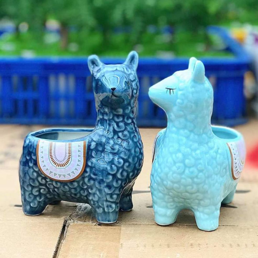 chậu gốm mini hình thú như hình