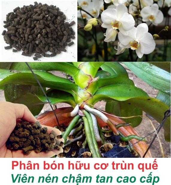 Phân trùn quế nén viên (800g)